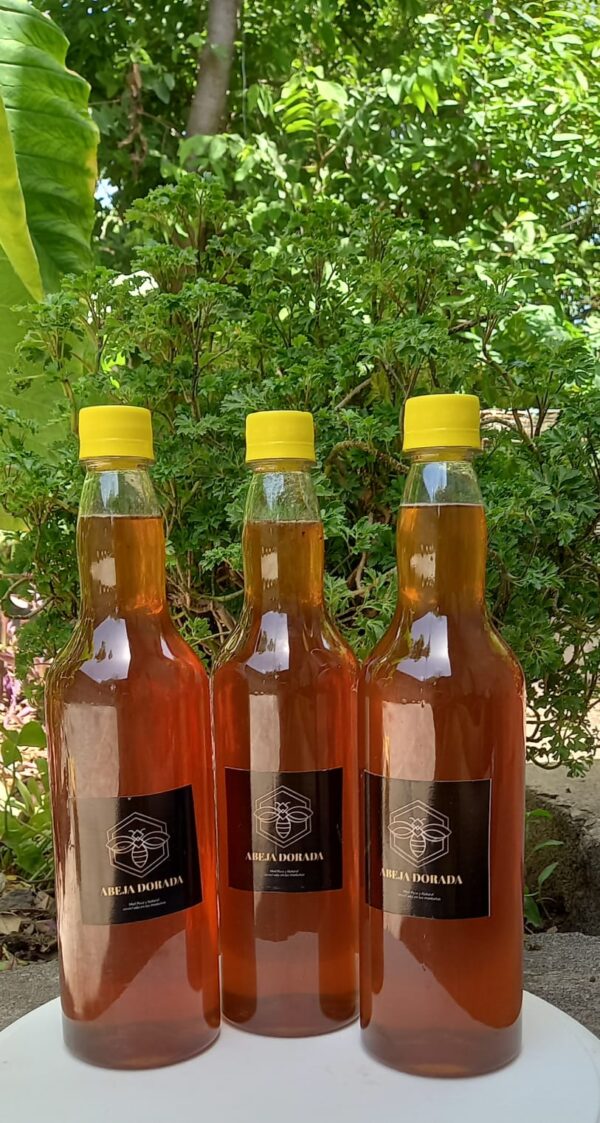 Miel en botella 750 ml, multiflora, de abeja melíferas